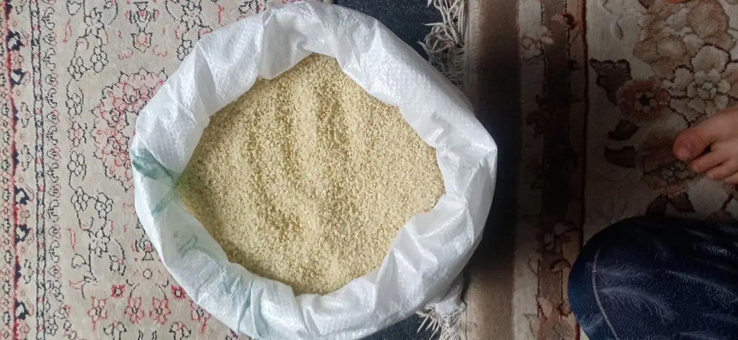 برنج نیمدانه لنجون|خوردنی و آشامیدنی|ایذه, |دیوار