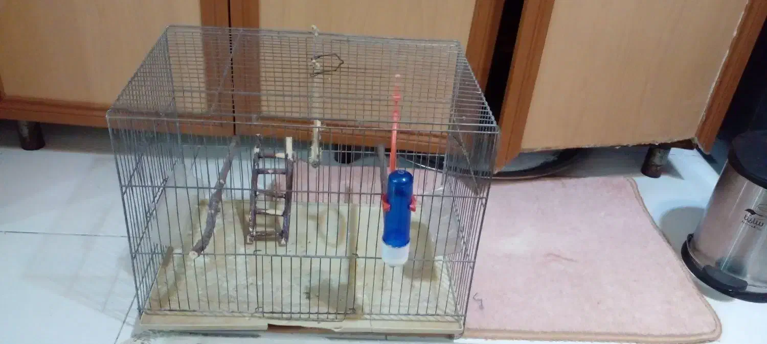 قفس پرنده|لوازم جانبی حیوانات|تهران, منیریه|دیوار