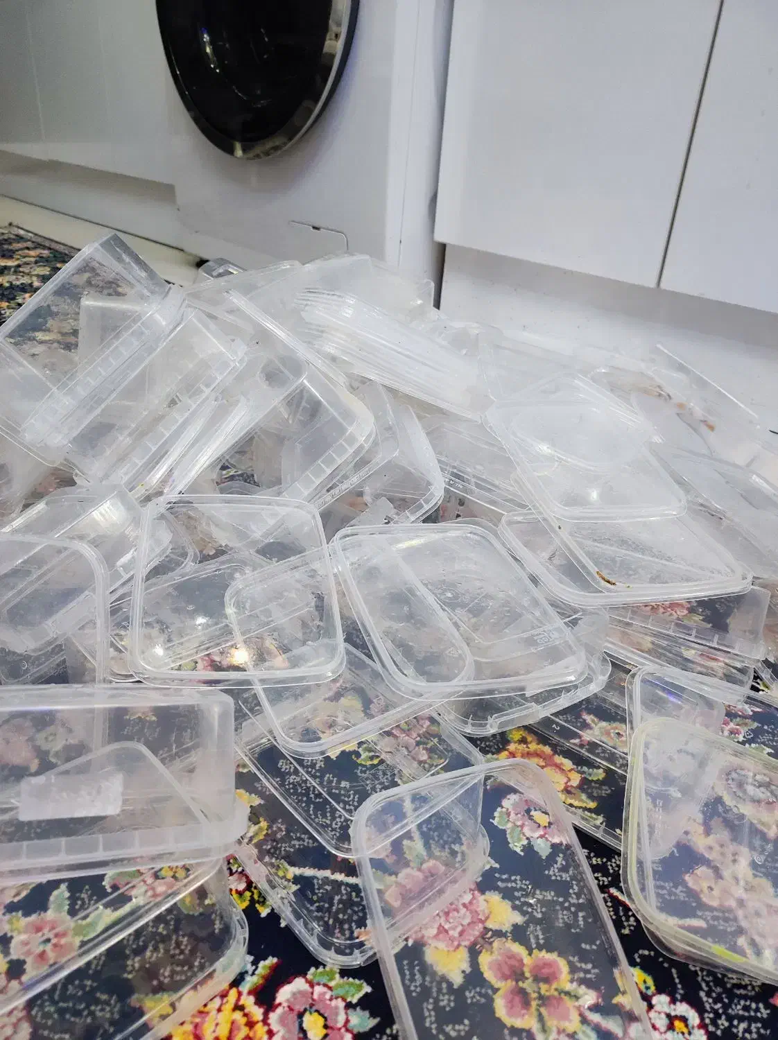 ظرف فریزری|ظروف نگهدارنده، پلاستیکی، یک‌بارمصرف|رودسر, |دیوار