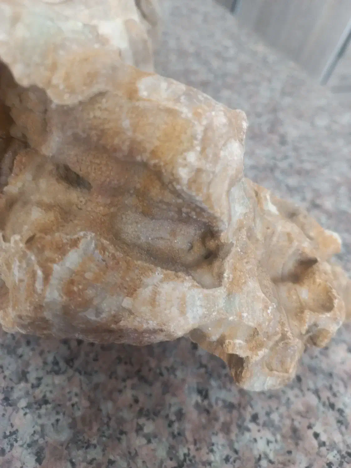 سنگ‌اکواریومی|ماهی|همدان, |دیوار