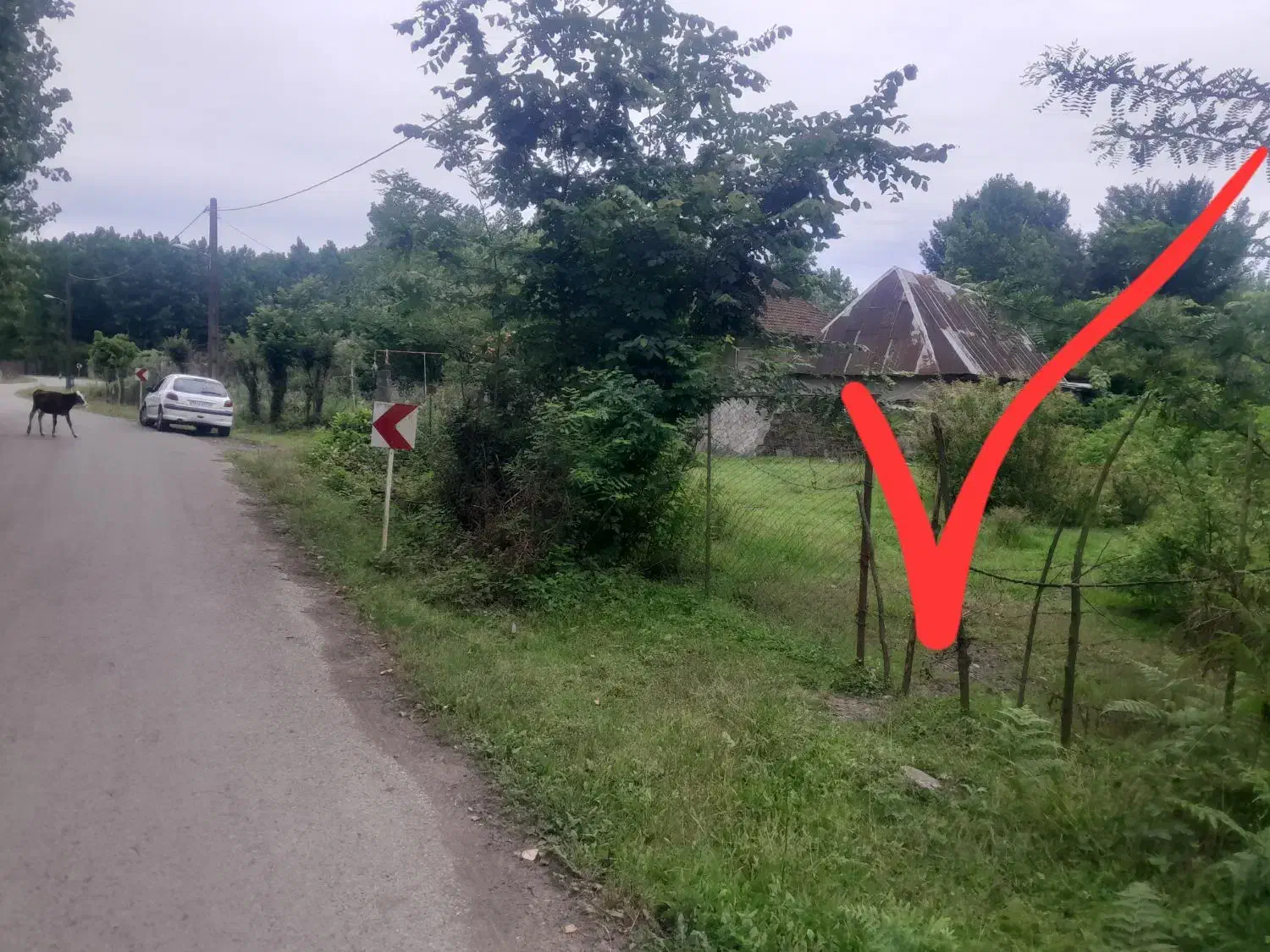 فروش ۵۰۰مترزمین با دو مجوز ساخت|فروش زمین و ملک کلنگی|طاهرگوراب, |دیوار