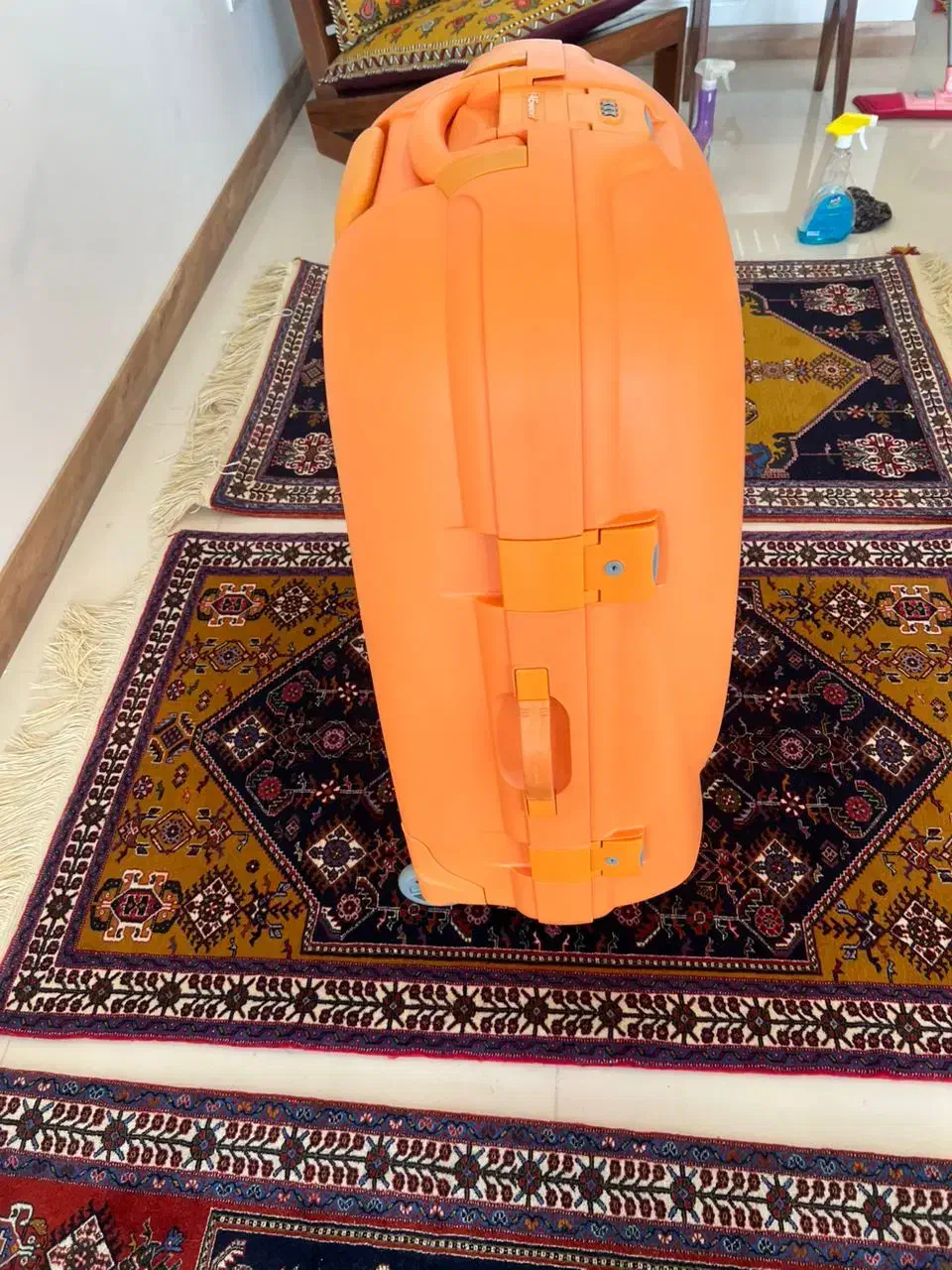 چمدان برند و یک عدد فرش 4 متری|کیف، کفش، کمربند|شیراز, تاچارا|دیوار
