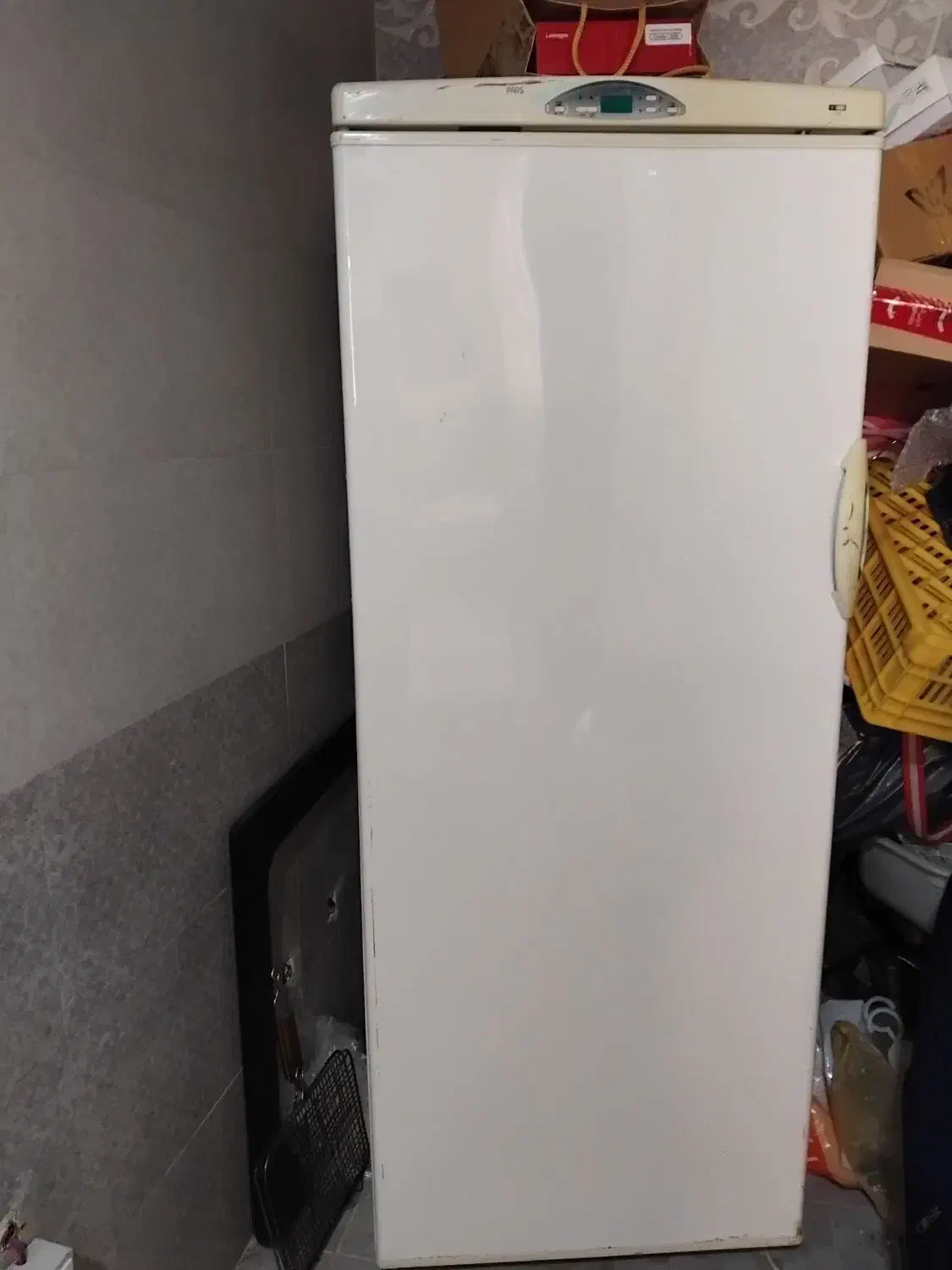 فرش گرد زمرّد مشهد|فرش|کرج, مصباح|دیوار