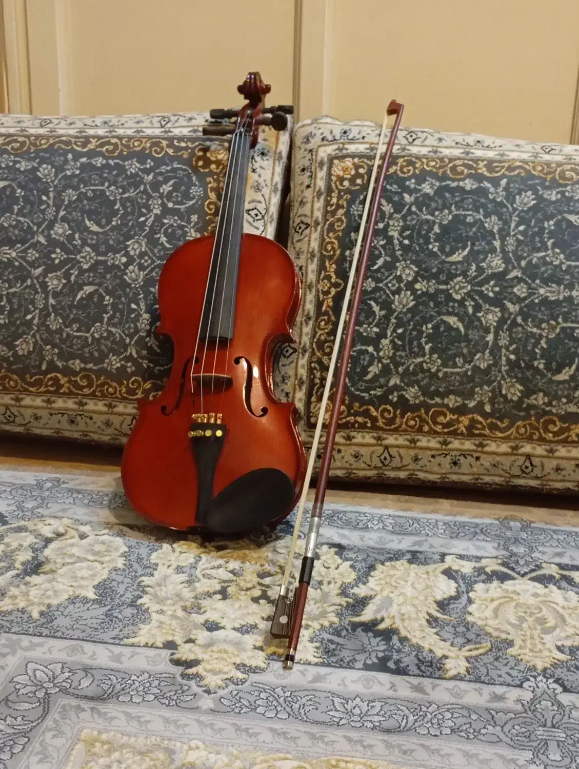 ویلن نونو|ویولن|اراک, |دیوار