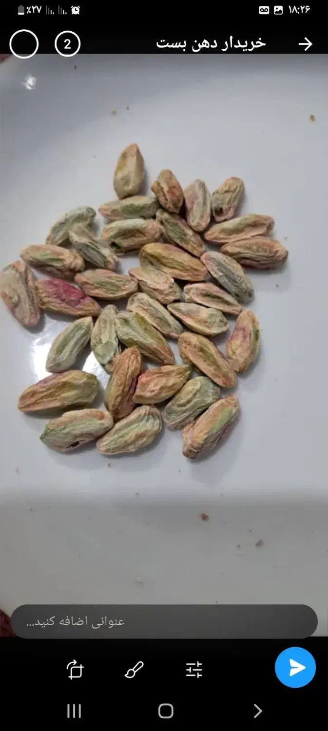 15 تن مغز کال|عمده‌فروشی|تهران, جوادیه|دیوار