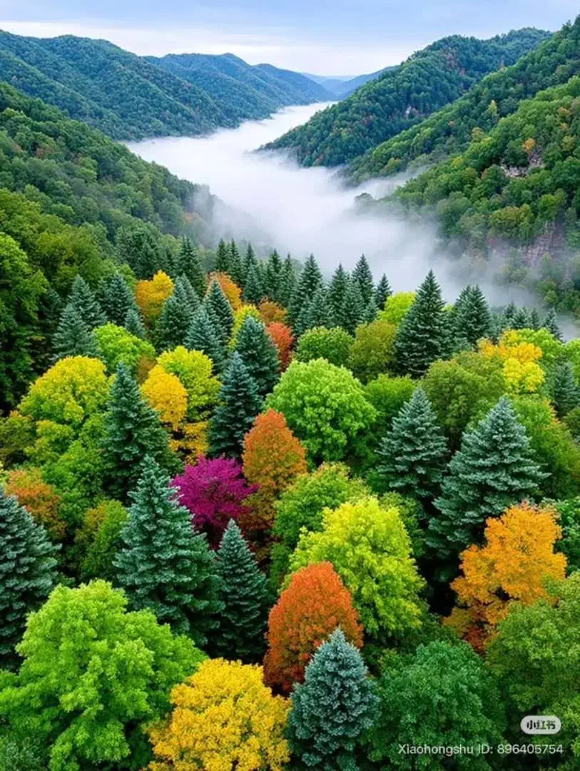 نیروی کار|خدمات باغبانی و درختکاری|لوشان, |دیوار