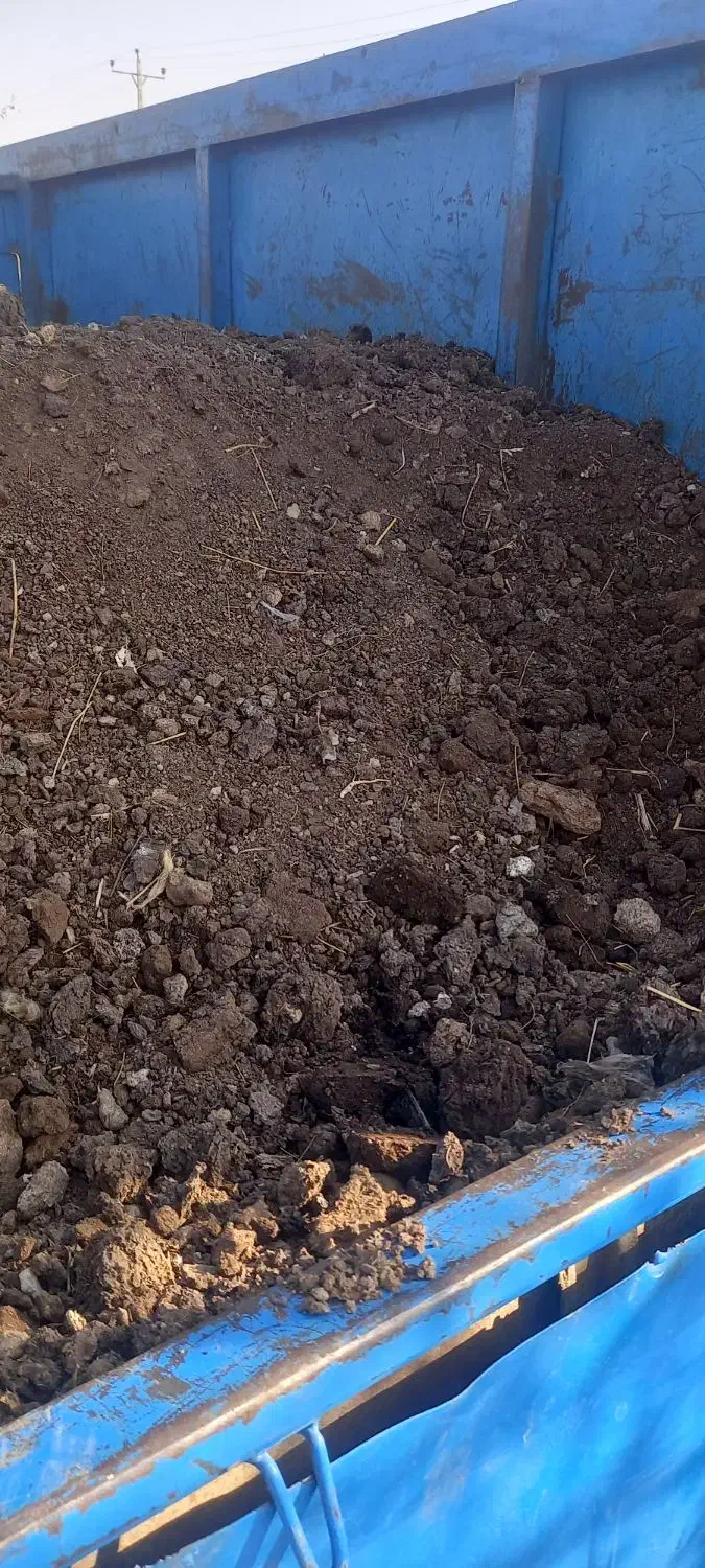 کود گوسفندی پخته محدوده اسپیران صوفیان باغمعروف|خدمات باغبانی و درختکاری|تبریز, |دیوار