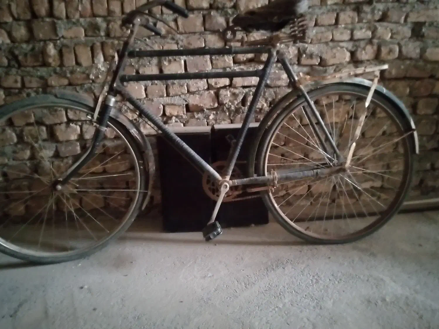 دوچرخه با قیمت مناسب|دوچرخه، اسکیت، اسکوتر|کویرات, |دیوار