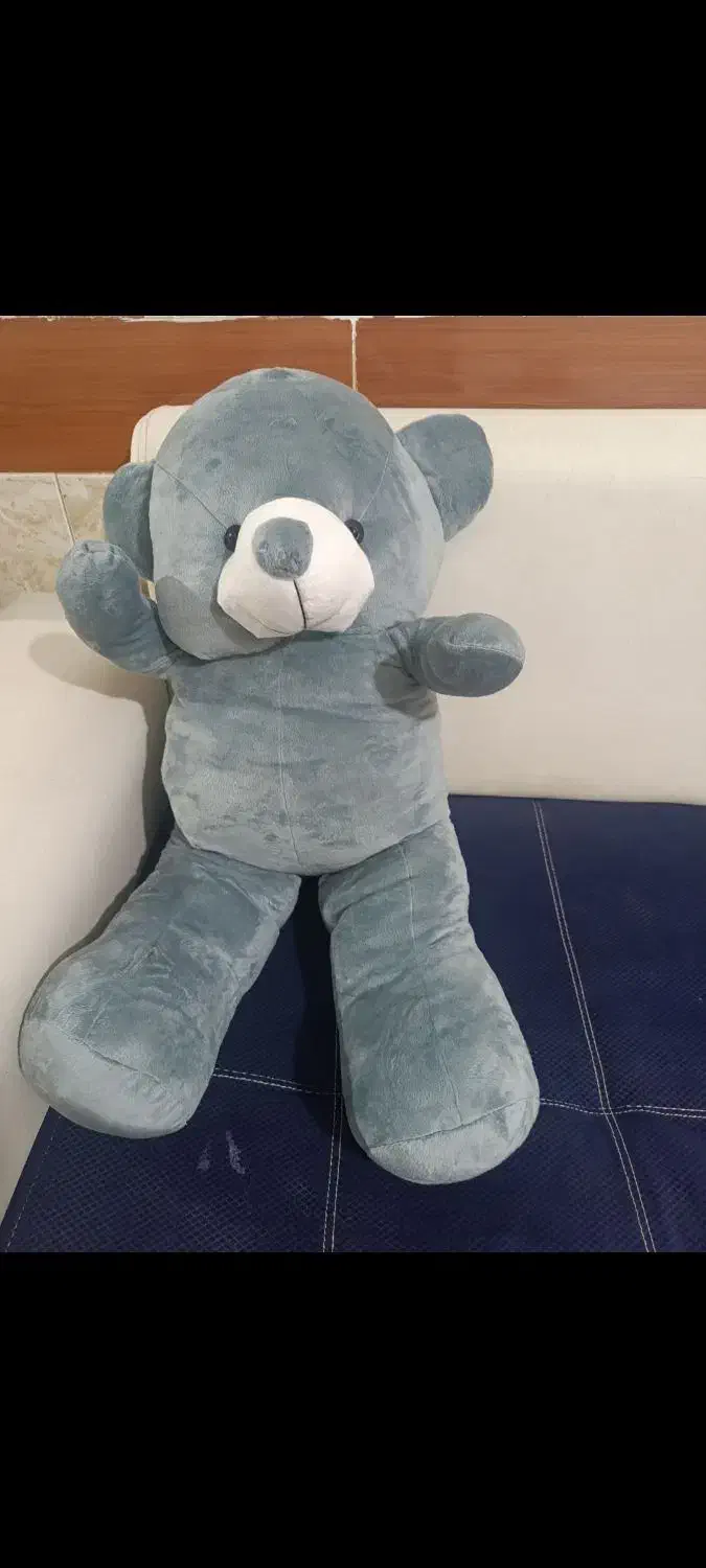 خرس شاخسین|اسباب‌بازی بچه|زابل, |دیوار