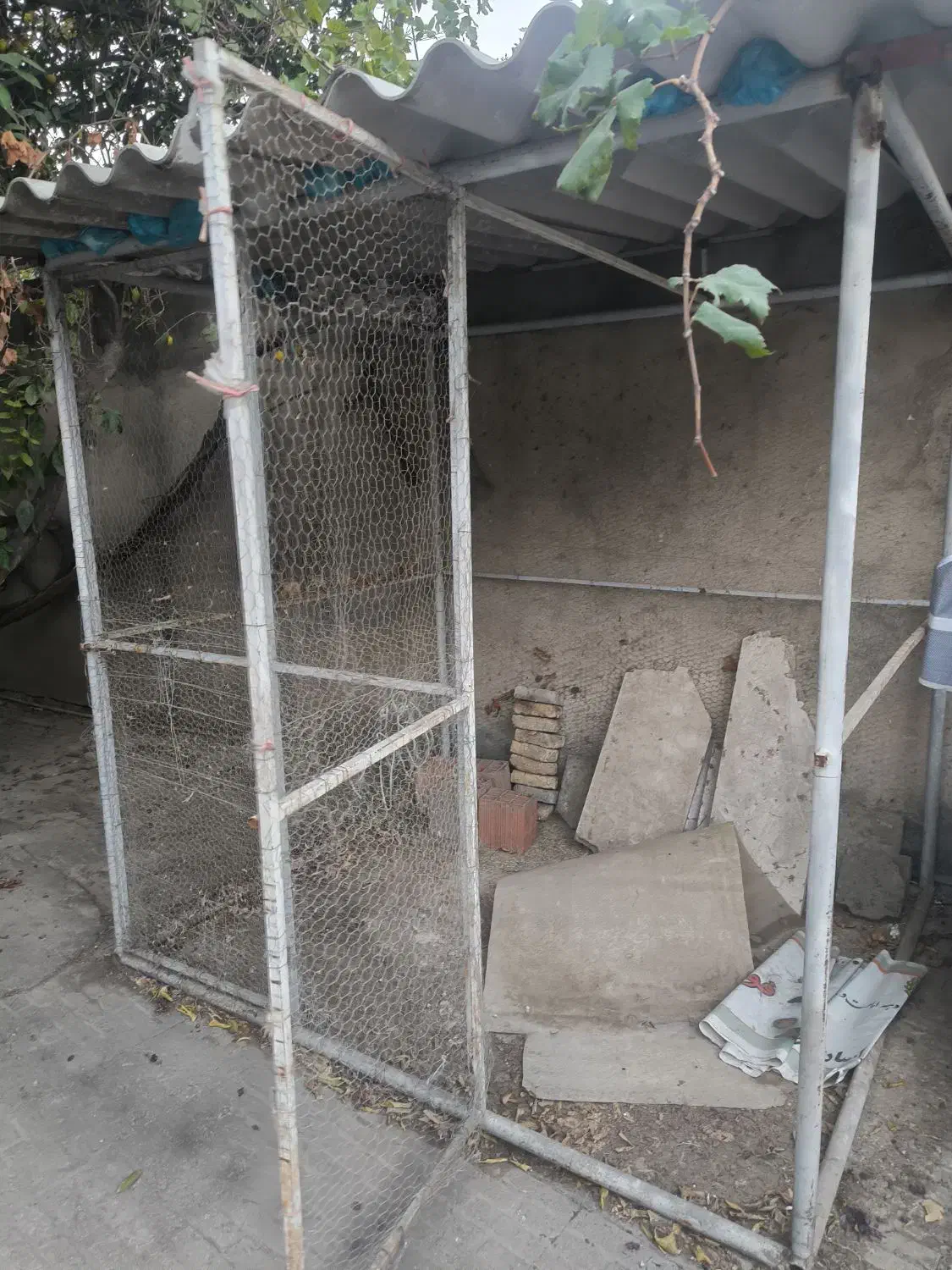 قفس بزرگ آهنی حیوان و پرنده|لوازم جانبی حیوانات|گرگان, |دیوار