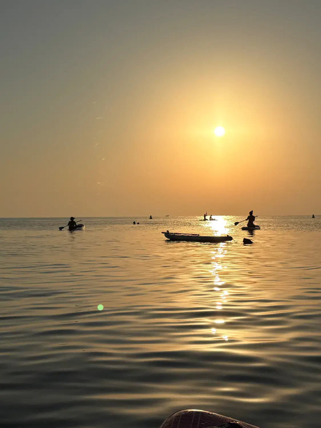 پدلبرد تفریحی آموزشی|غواصی و ورزشهای آبی|کیش, |دیوار