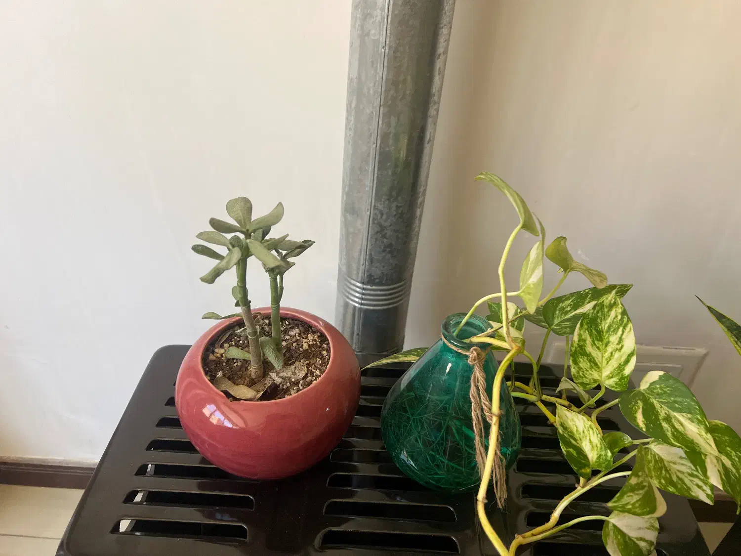 اجاره  یک واحد اپارتمان در خیابان شریعتی|اجارهٔ آپارتمان|شهرکرد, |دیوار