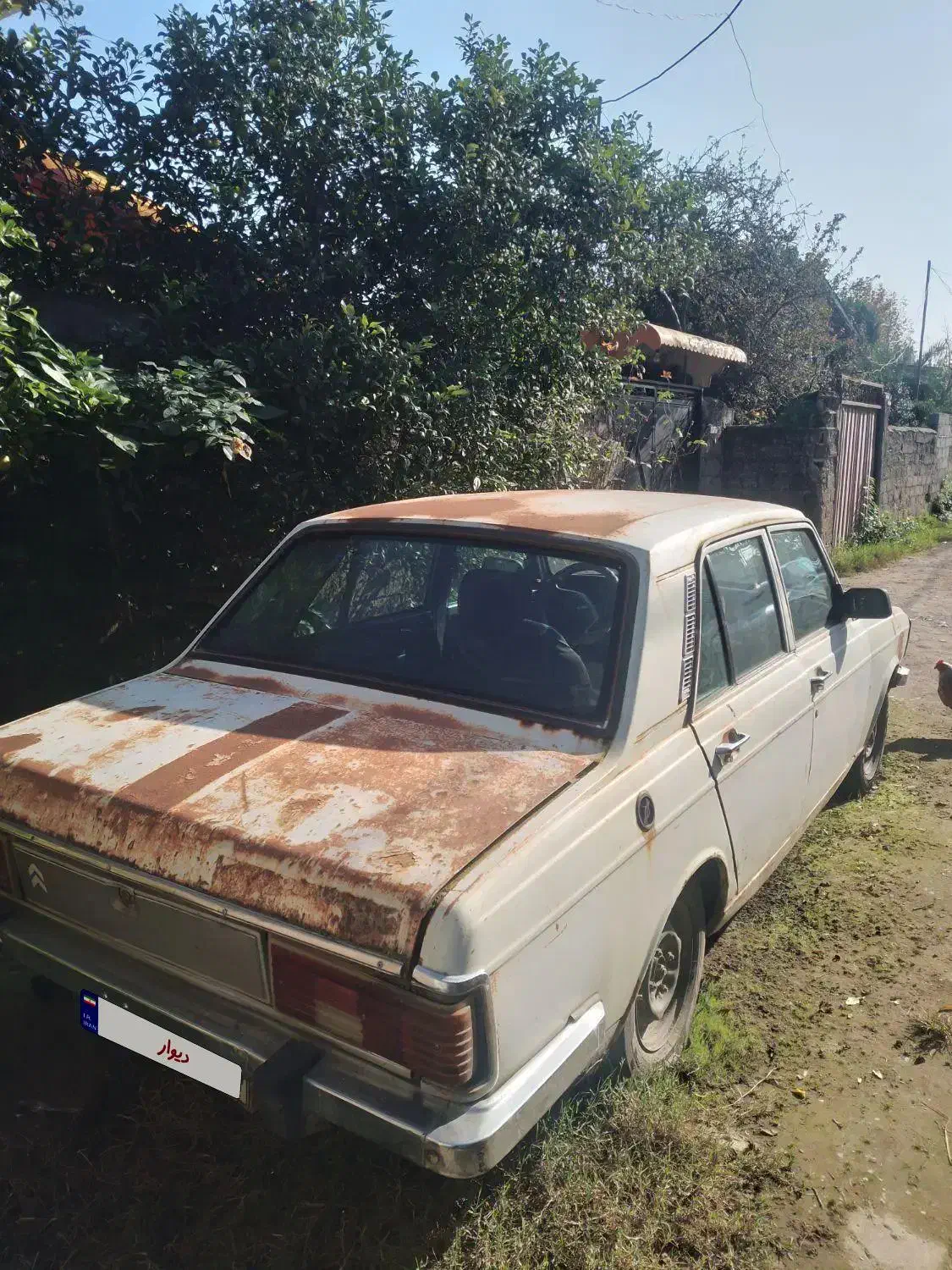 پیکان ۷۹|خودرو کلاسیک|رودسر, |دیوار