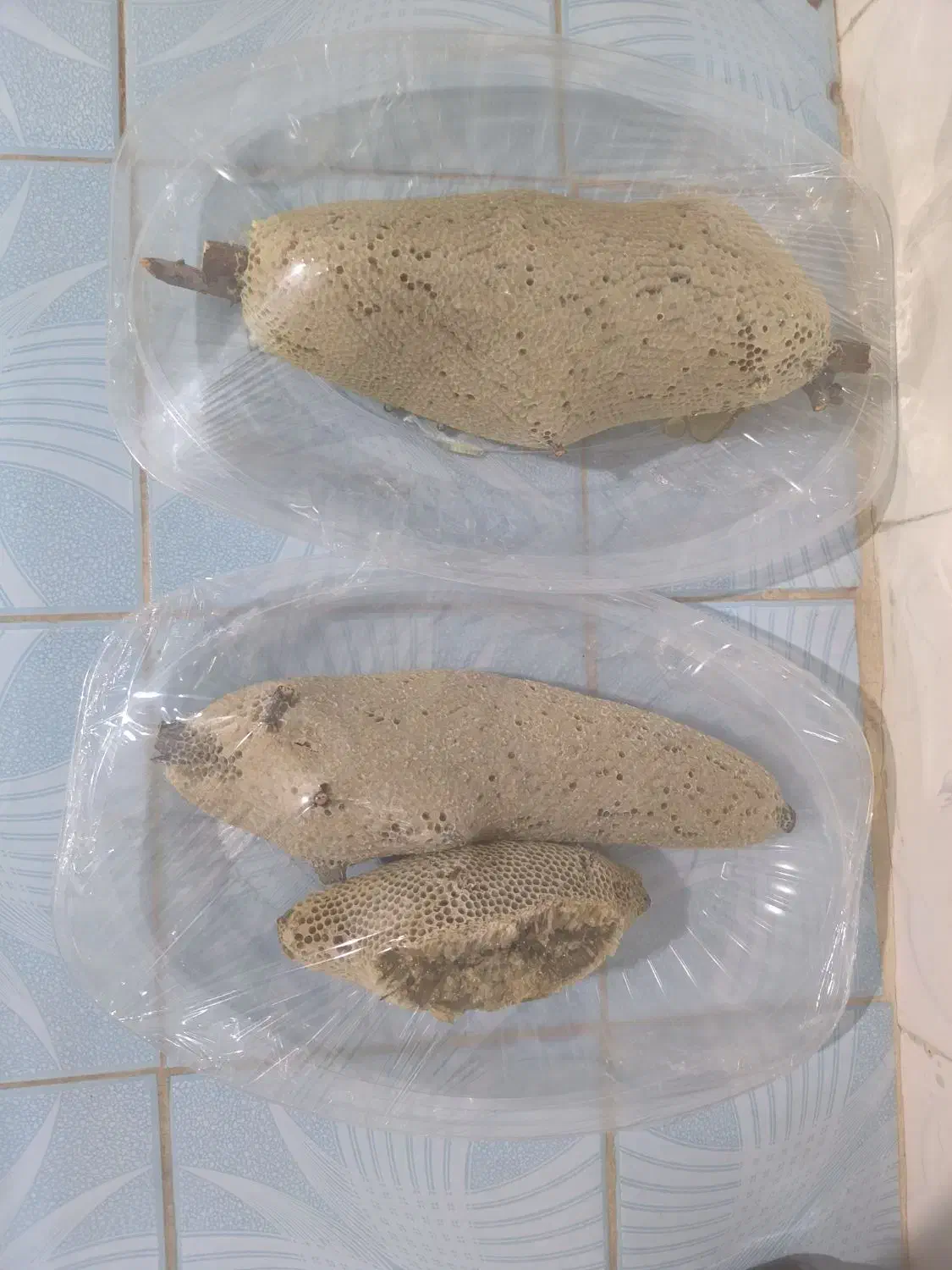 عسل وحشی|خوردنی و آشامیدنی|فراشبند, |دیوار