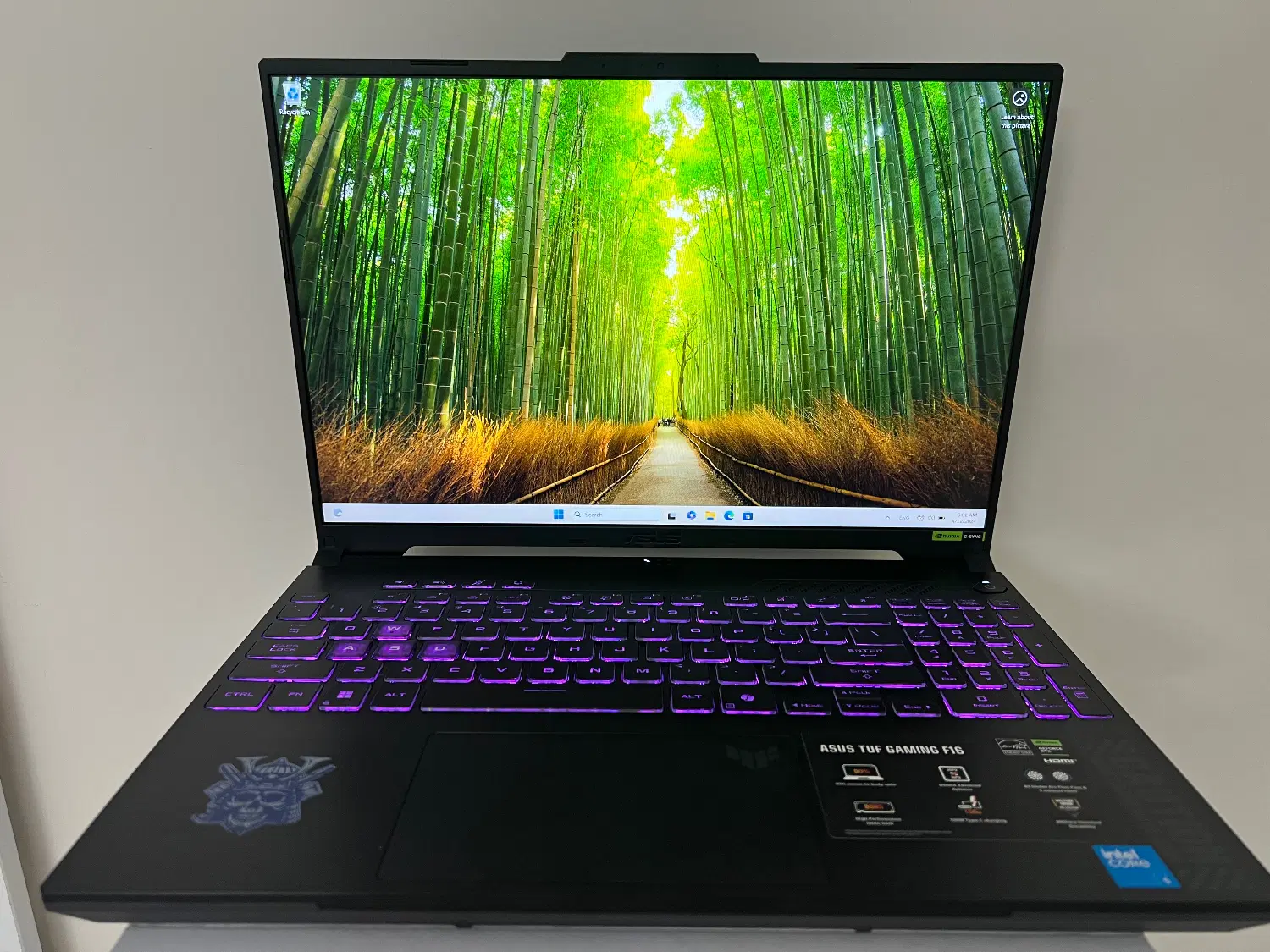 Fx607v. Asus tuf F16|رایانه همراه|تهران, مشیریه|دیوار