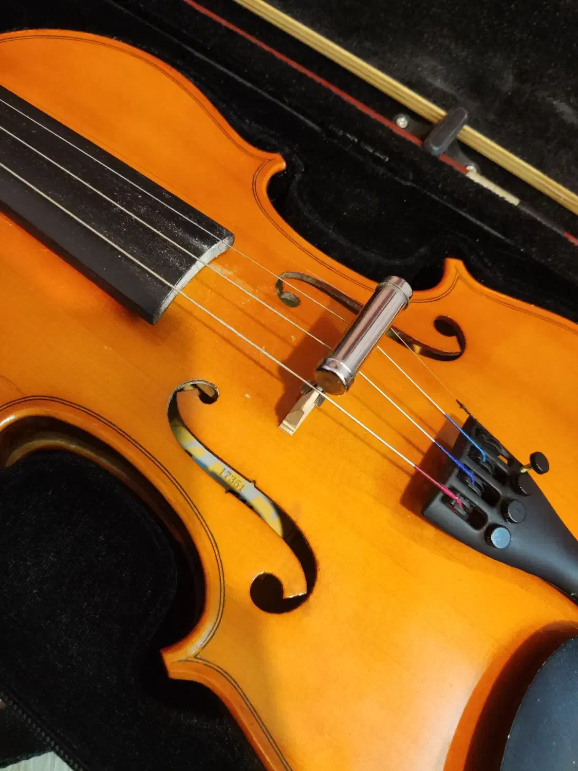 ویولن|ویولن|سبزوار, هویزه|دیوار