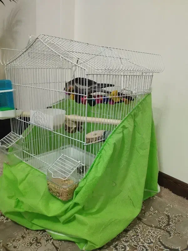 قفس زیبا کلبه ای مخصوص طوطی سانان|لوازم جانبی حیوانات|تهران, شهرک ابوذر|دیوار