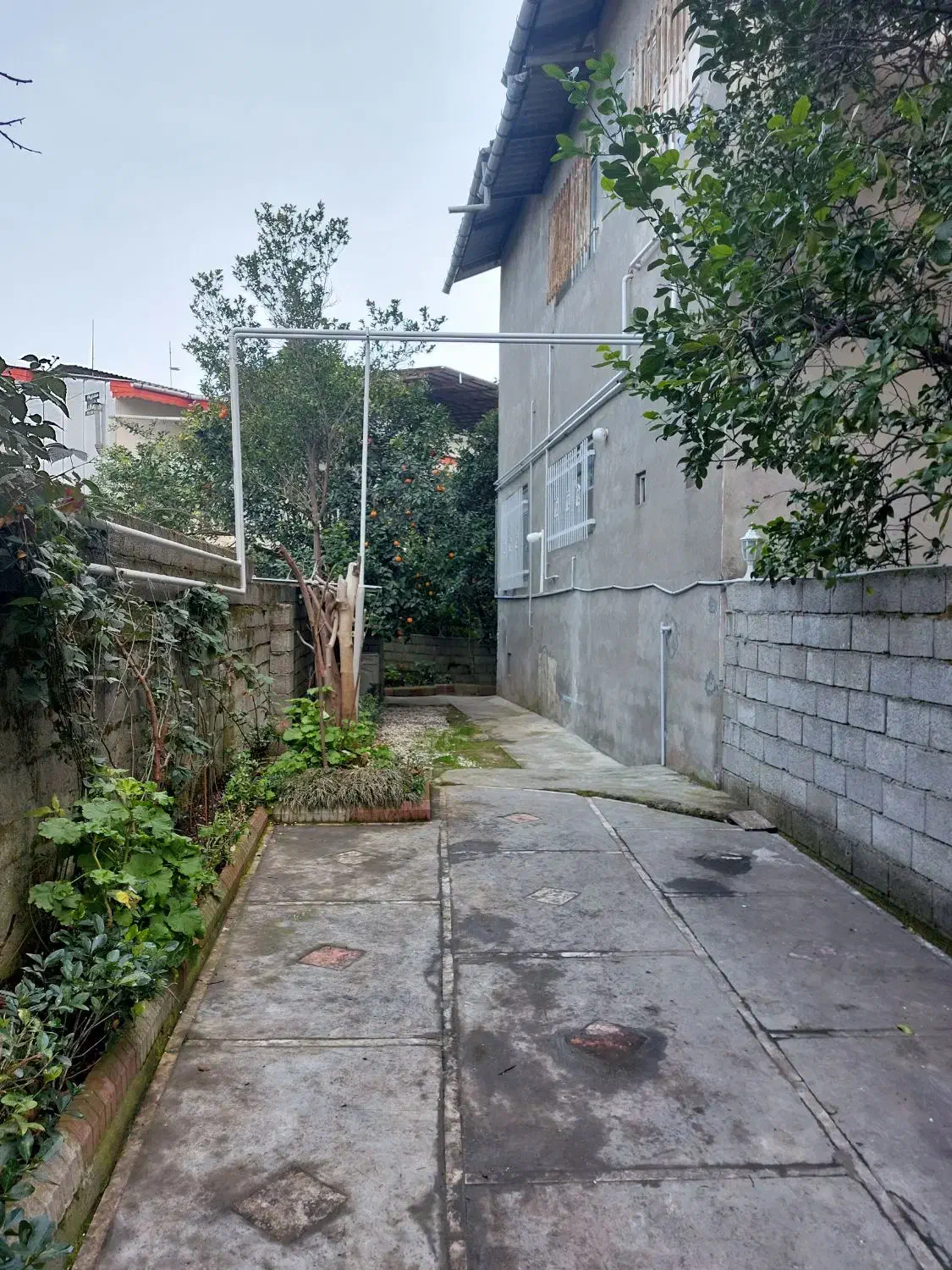 ۳۳۶متر زمین جهت مشارکت|مشارکت در ساخت املاک|رامسر, |دیوار