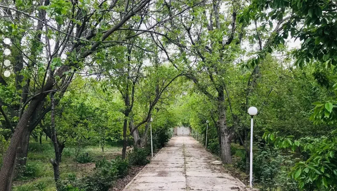 فروش باغ|فروش خانه و ویلا|شهریار, اسکمان|دیوار