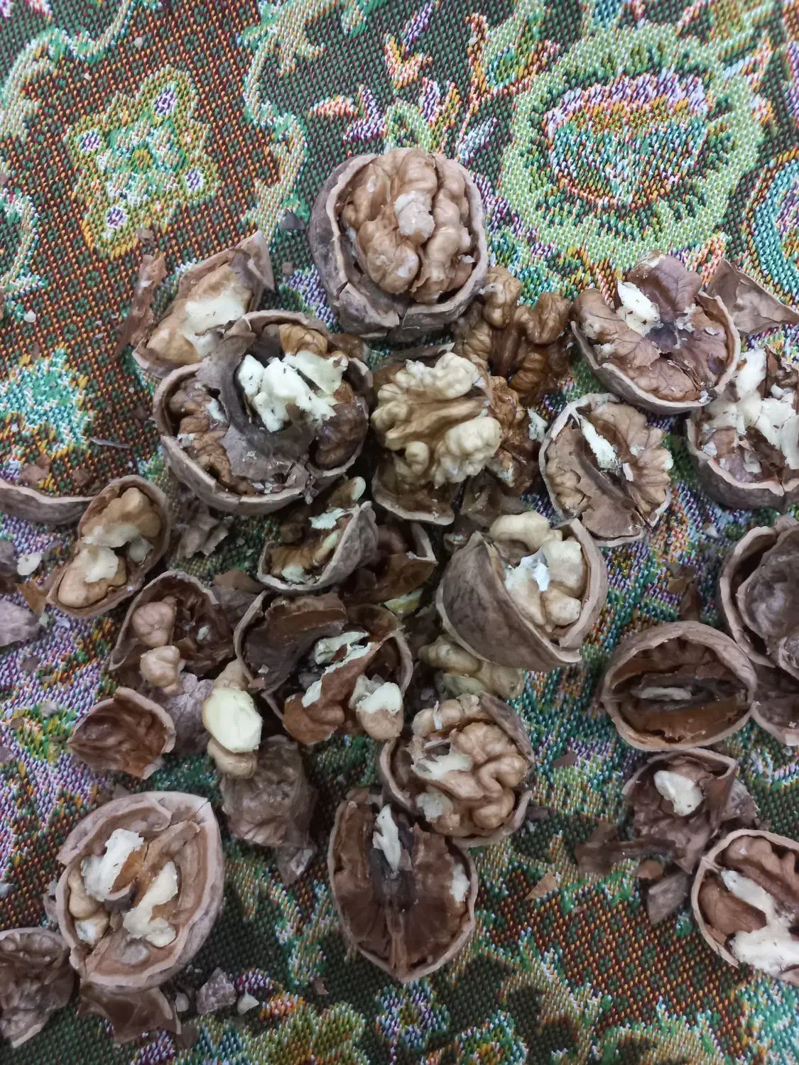 گردو|حراج|سنندج, |دیوار