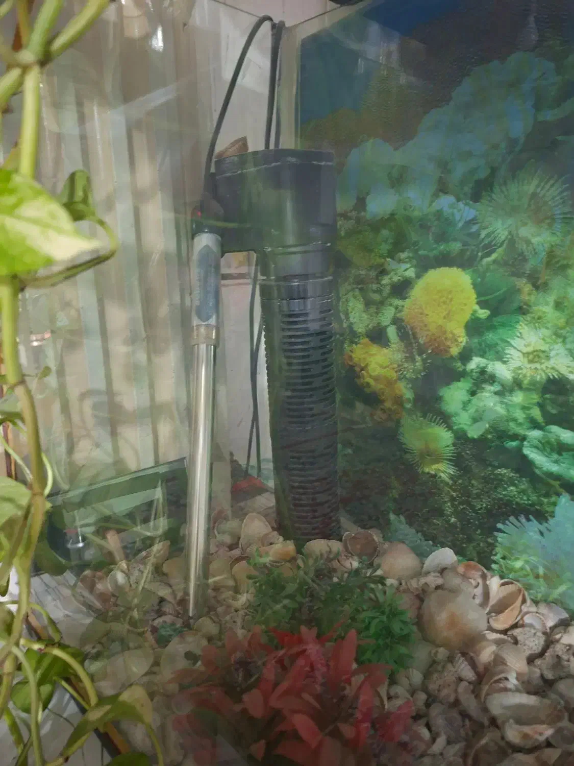 اکواریوم بزرگ|ماهی|مشهد, حسینآباد|دیوار