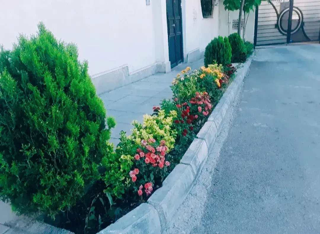 خدمات باغبانی خاک گلدون باغچه کاری کاشت گل درتهران|خدمات باغبانی و درختکاری|تهران, مرزداران|دیوار