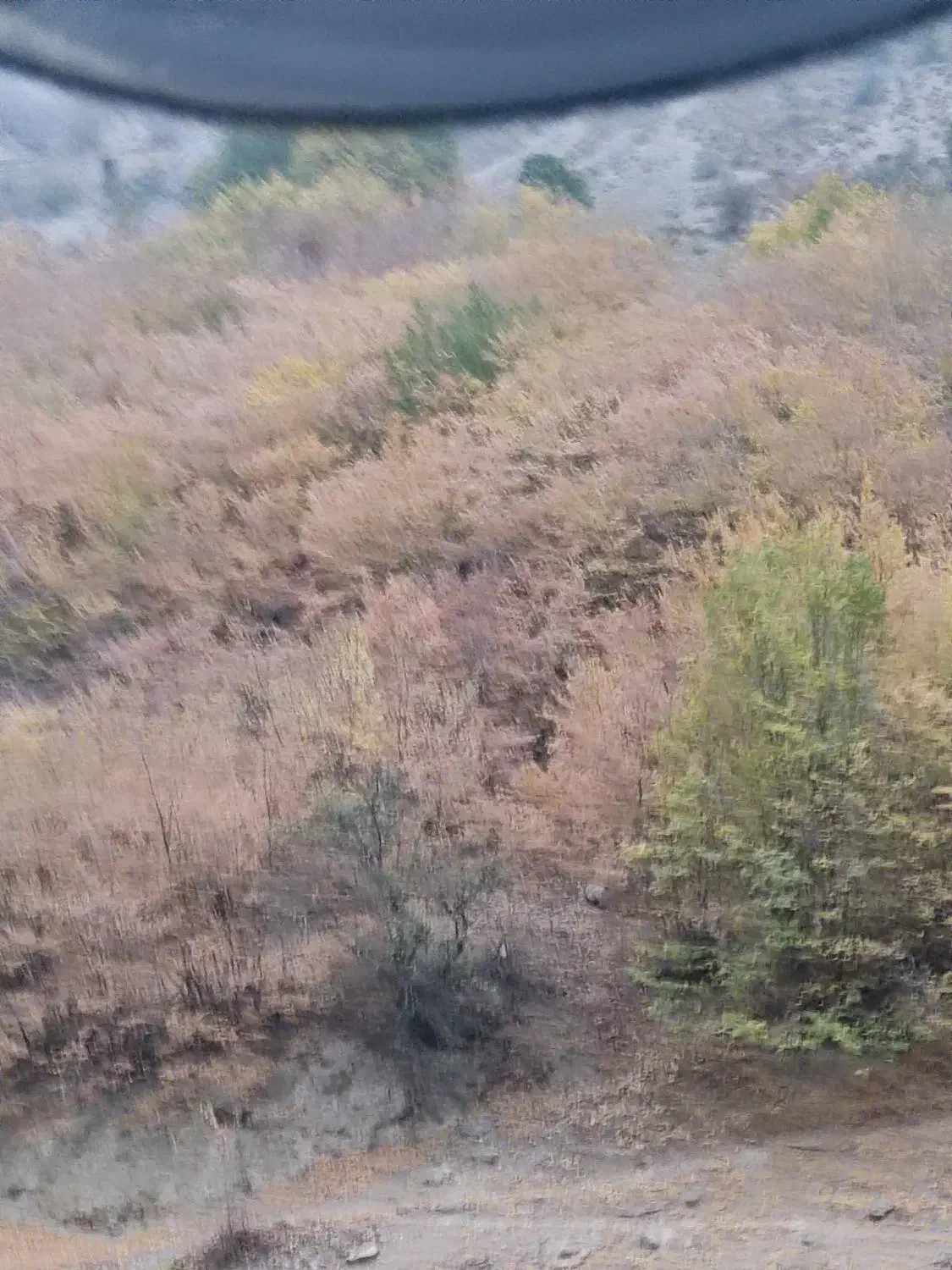 خریدار وام400میلیونی طرح مهربانی|فعالیت داوطلبانه|کوهدشت, |دیوار