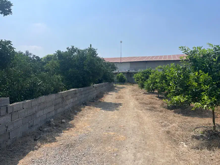 ۲۵۰ متر زمین بافت مسکونی قابل ساخت ویلا/شمال|فروش زمین و ملک کلنگی|تهران, اکباتان|دیوار