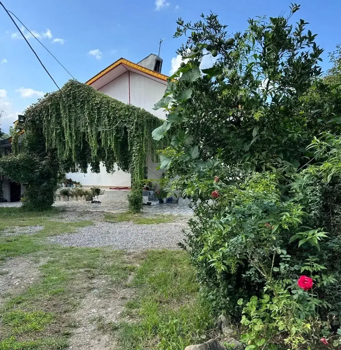 اجاره روزانه ویلا سر سبز روستایی|اجارهٔ کوتاهمدت ویلا و باغ|رشت, نیکمرام|دیوار