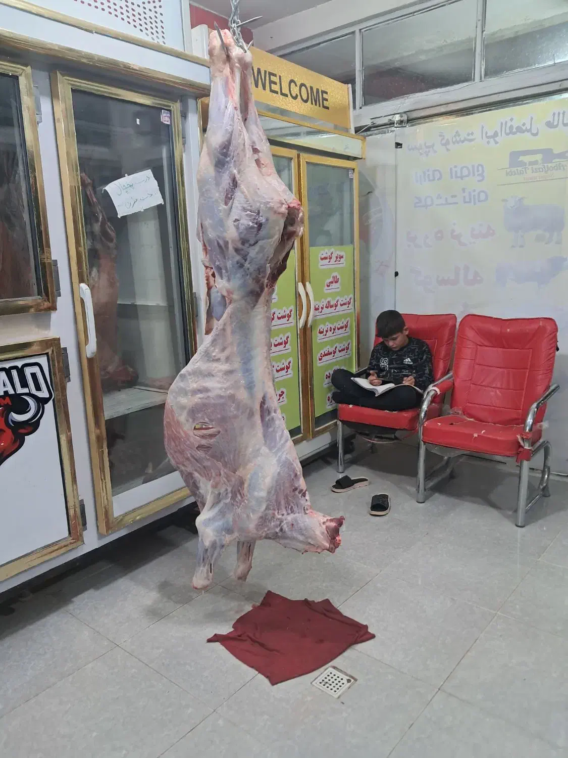 گوساله ریزقلم با استخوان|حیوانات مزرعه|بجنورد, |دیوار