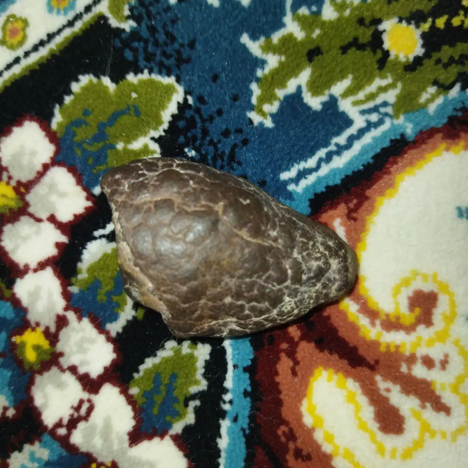 شهاب سنگ|کلکسیون اشیاء عتیقه|تهران, بهمن یار|دیوار