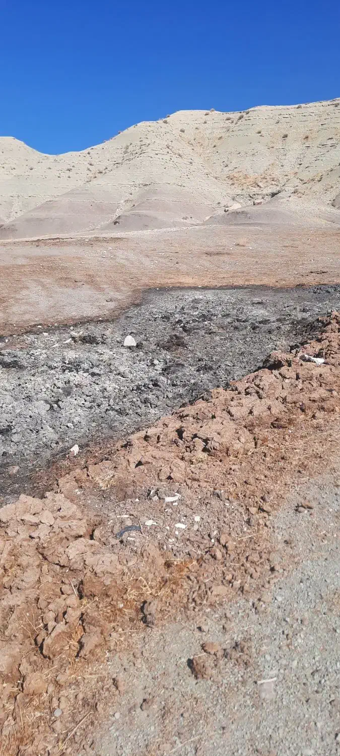 زمین کشاورزی..قیمت توافقی|فروش زمین و ملک کلنگی|سیوان, |دیوار