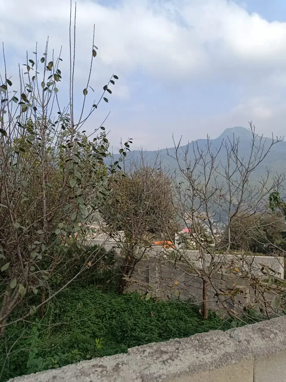 فروش زمین مسکونی|فروش زمین و ملک کلنگی|پل سفید, |دیوار