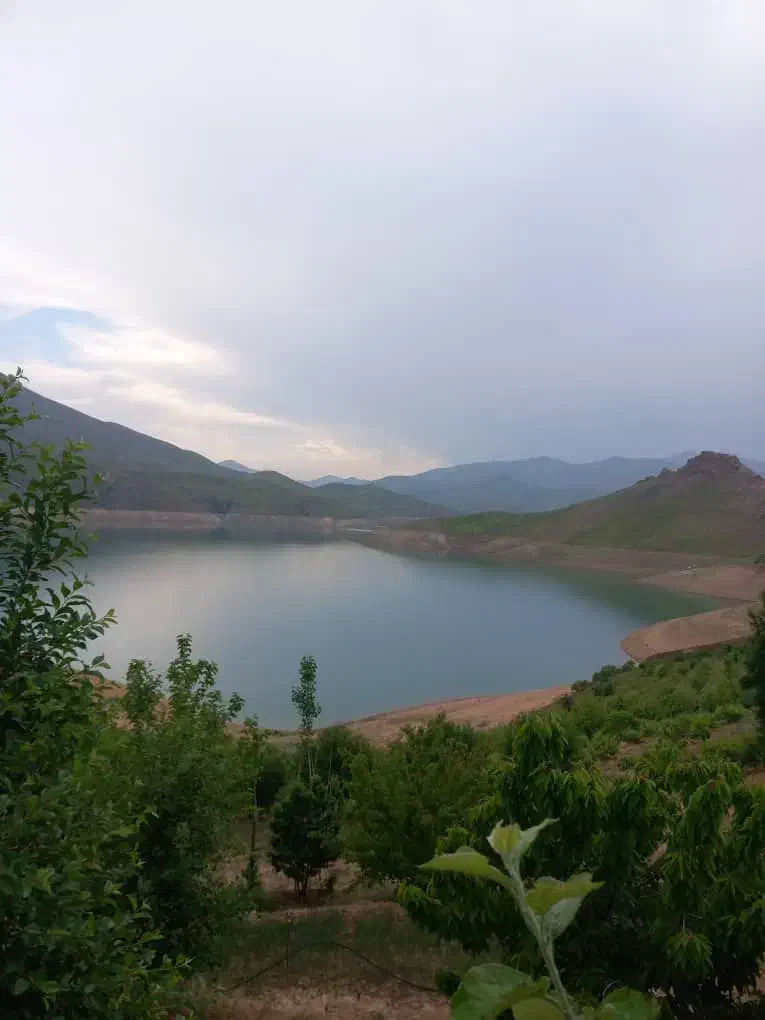 فروش باغ|فروش خانه و ویلا|موچش, |دیوار