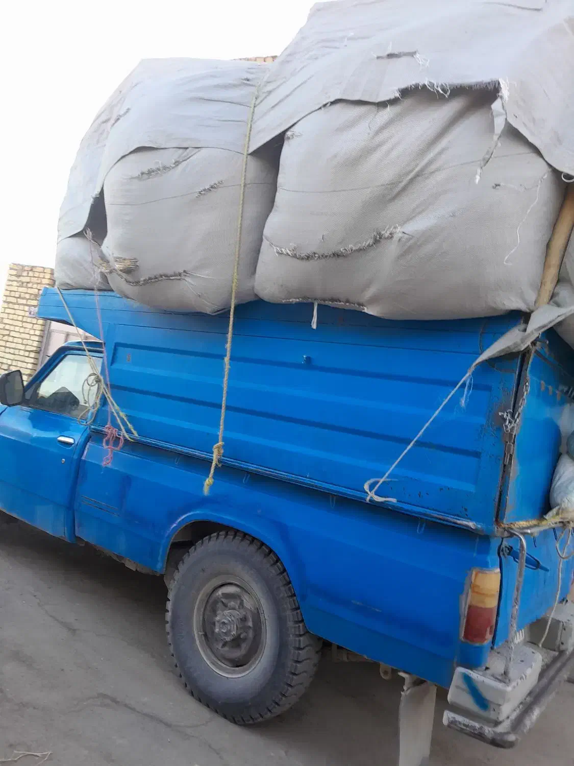 کاه نرم|لوازم جانبی حیوانات|مبارکه, |دیوار