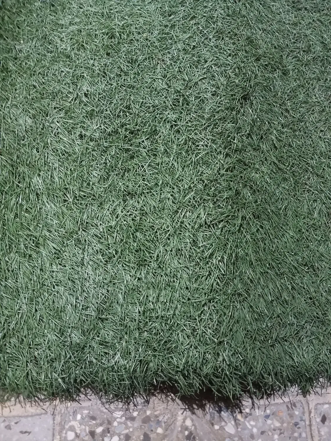 چمن مصنوعی|گل مصنوعی|دورود, |دیوار