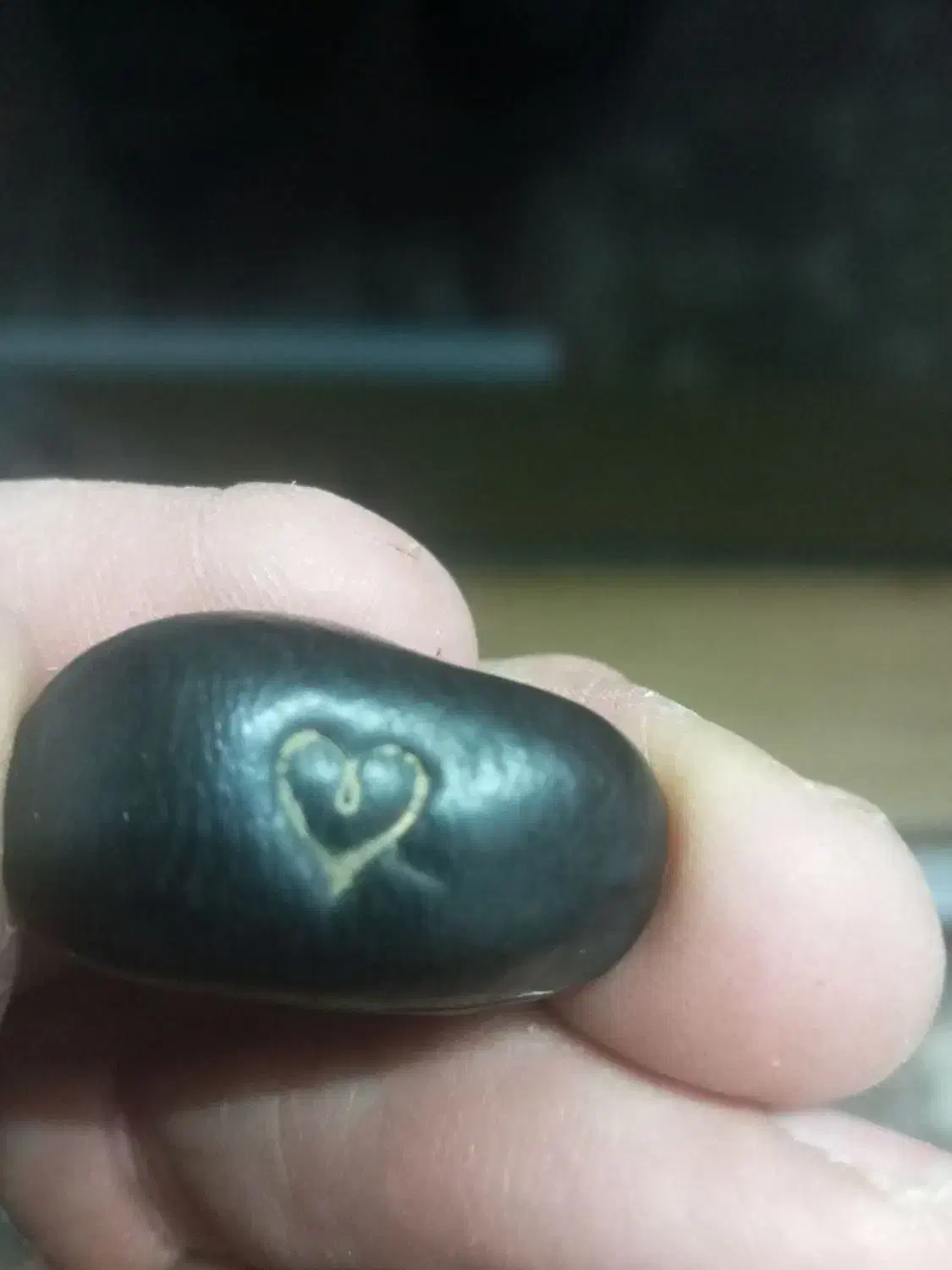 دونه سیاه( هسته عطیقه)|کلکسیون اشیاء عتیقه|گلبهار, شهر جدید گلبهار|دیوار