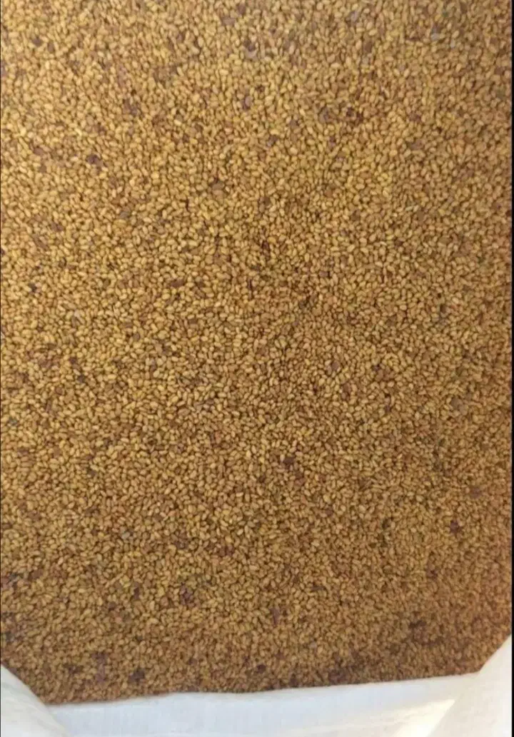 بذر یونجه|گل و گیاه طبیعی|گلپایگان, |دیوار