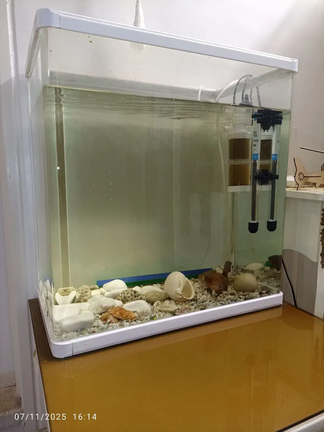 اکواریوم شیشه خم به همراه ماهی و متعلقات|ماهی|تهران, کوثر|دیوار