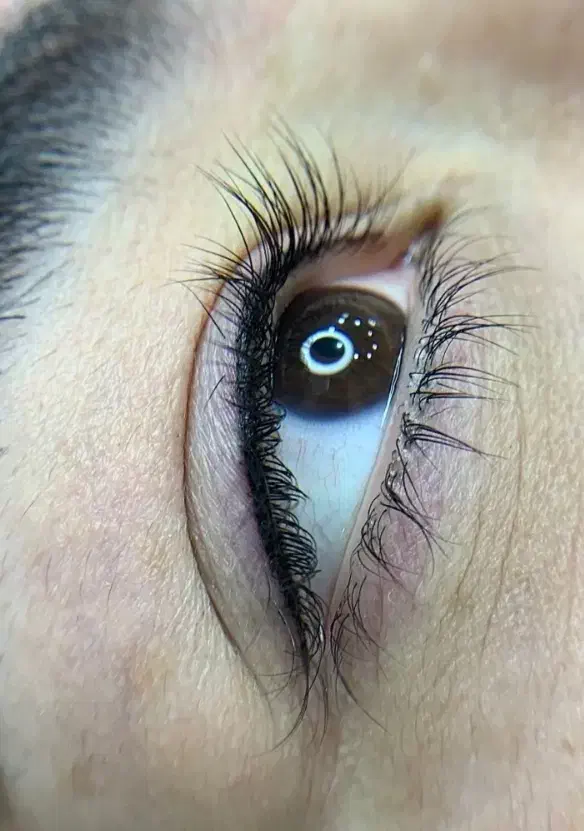 آرایش دائم|خدمات آرایشگری و زیبایی|اراک, |دیوار