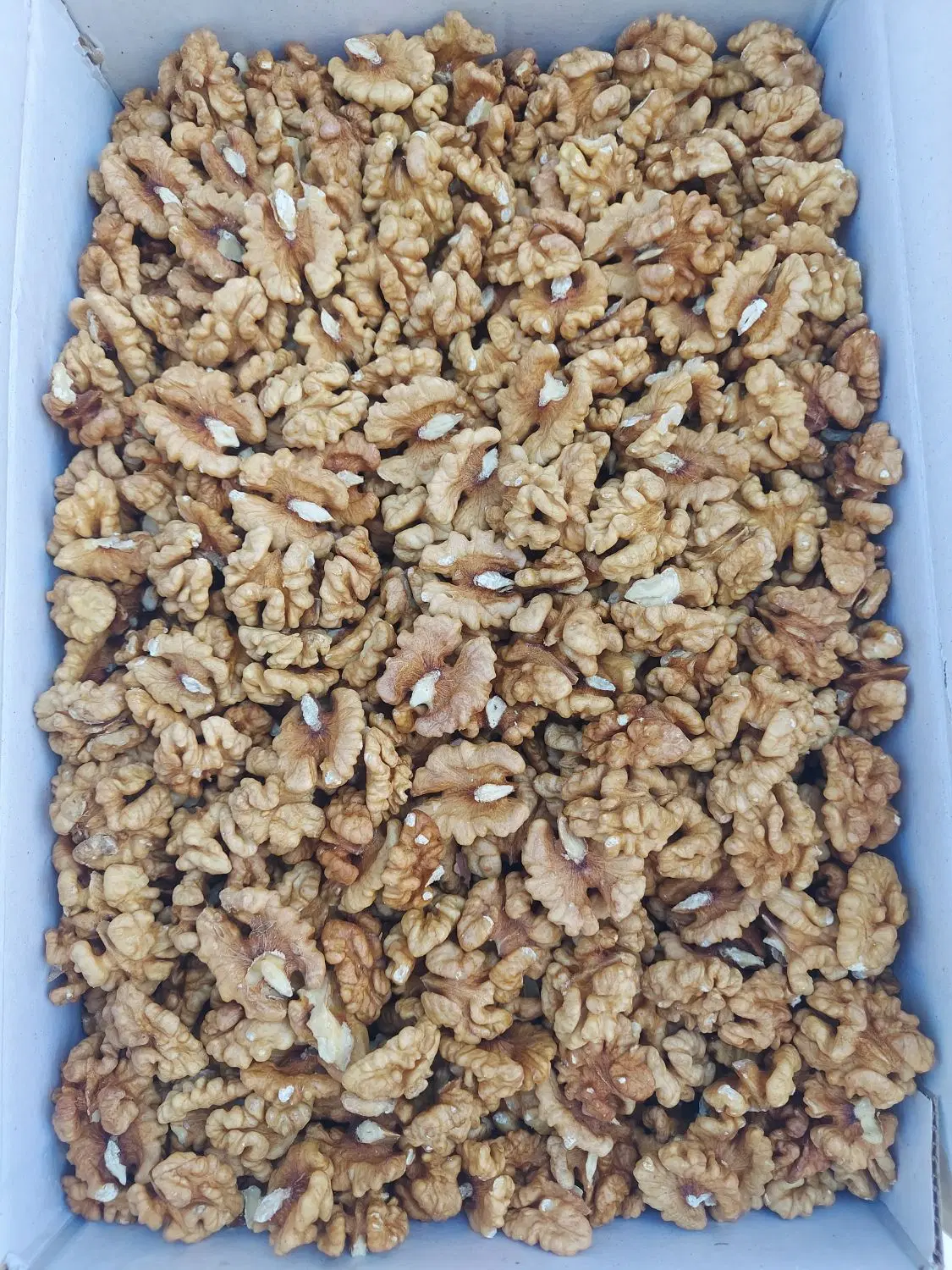 کردو سفید ۱۷۰۰|خوردنی و آشامیدنی|تهران, جنتآباد شمالی|دیوار