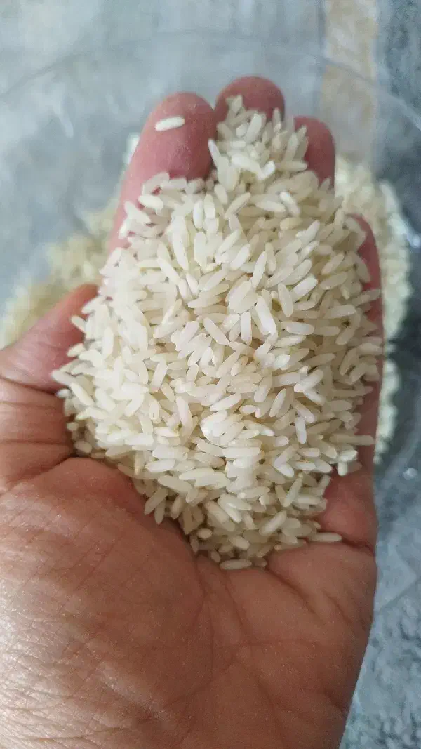 برنج عنبر بو درجه یک|خوردنی و آشامیدنی|شیراز, شریفآباد|دیوار