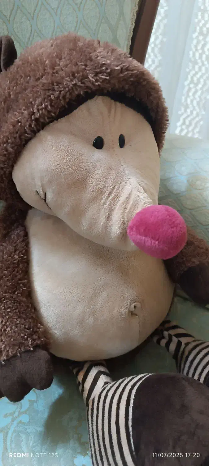 جوجه تیغی (عروسک خارجی)|اسباب‌‌بازی|مشهد, تربیت (صدف)|دیوار