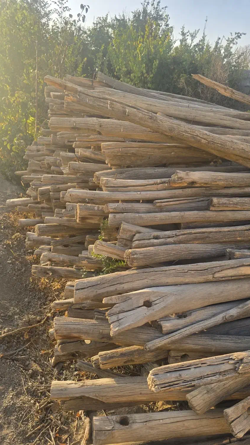 چوب داربست انگور/هیزم برای اتش|خدمات باغبانی و درختکاری|اصفهان, قائمیه|دیوار