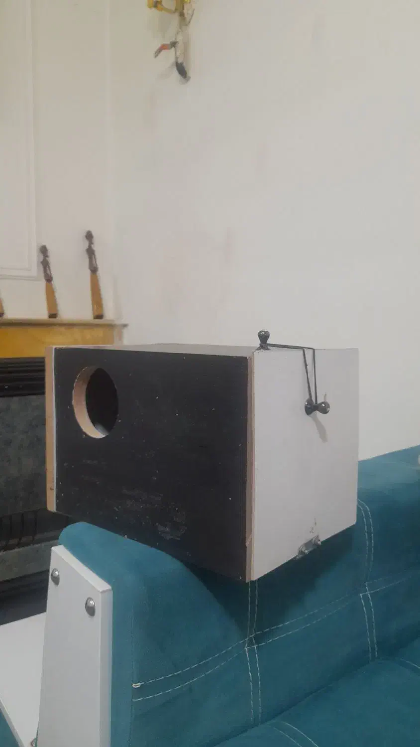 لونه عروس هلندی|لوازم جانبی حیوانات|اندیشه, اندیشه فاز ۱|دیوار