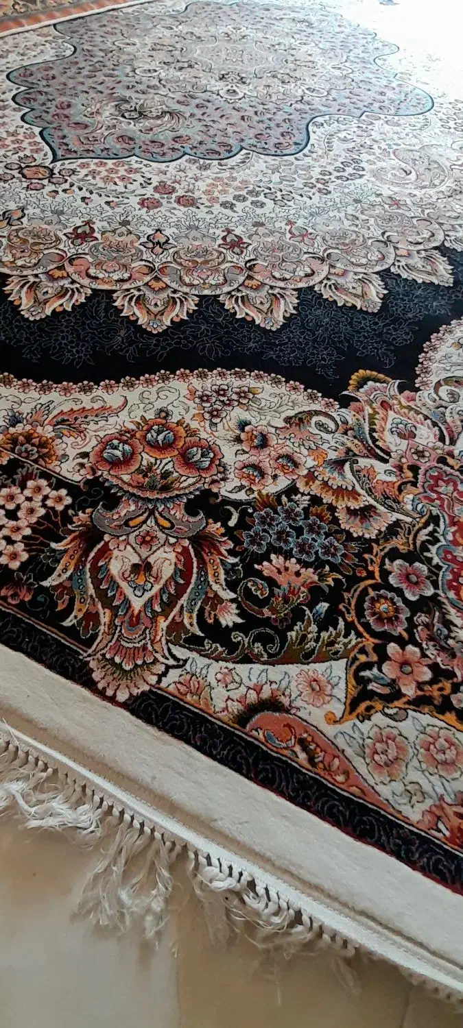 فرش ۱۲ متری ۱۰۰۰ شانه نگین مشهد درحد نو نرم و لطیف|فرش|رشت, ترمینال|دیوار