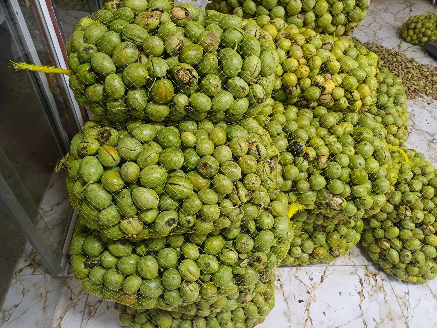 گردو ایرانی یک دست درجه یک|عمدهفروشی|زاینده رود, |دیوار