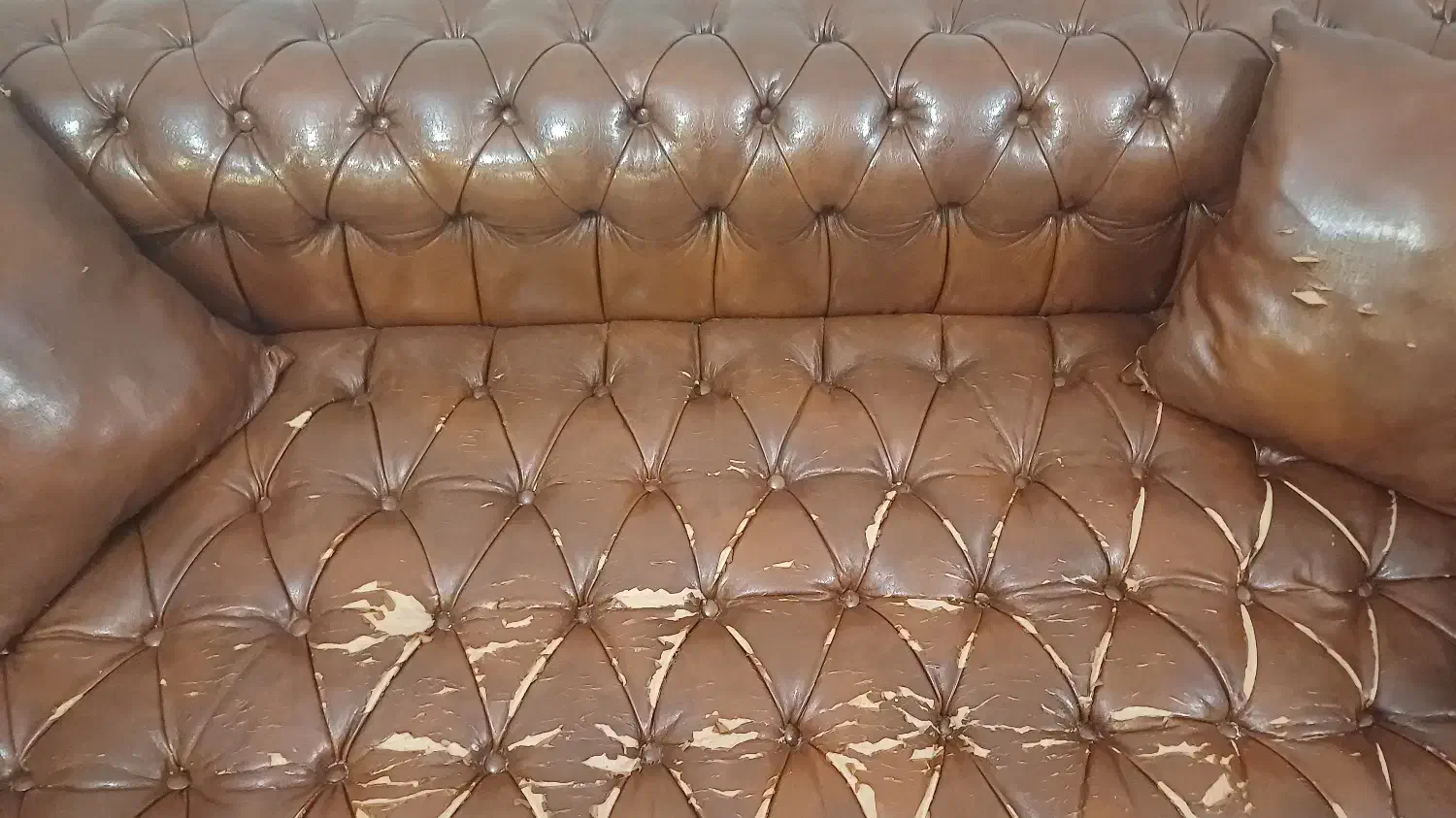 چستر ۳ نفره|مبلمان خانگی و میز عسلی|تهران, دریان‌نو|دیوار