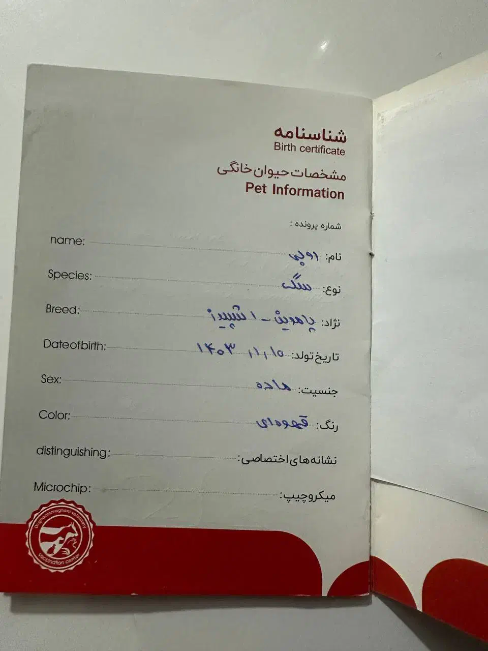 سگ پامرین اشپیتز|سگ|گنبد کاووس, |دیوار