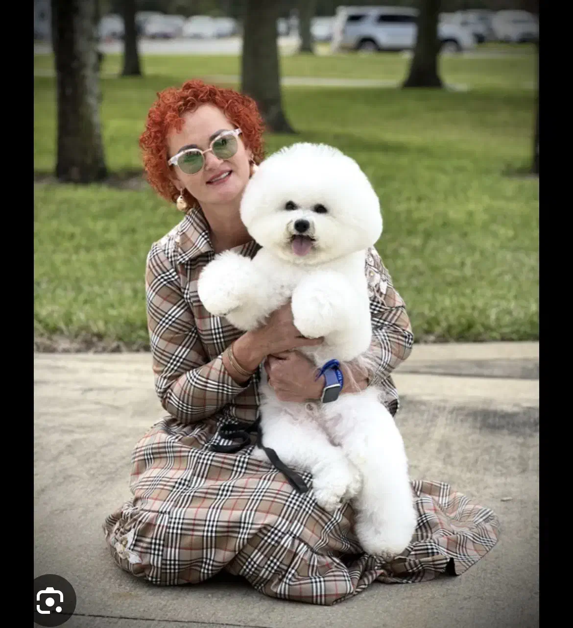 سگ نژاد بیشون فرایز وارداتی از روسیه|سگ|تهران, پونک|دیوار